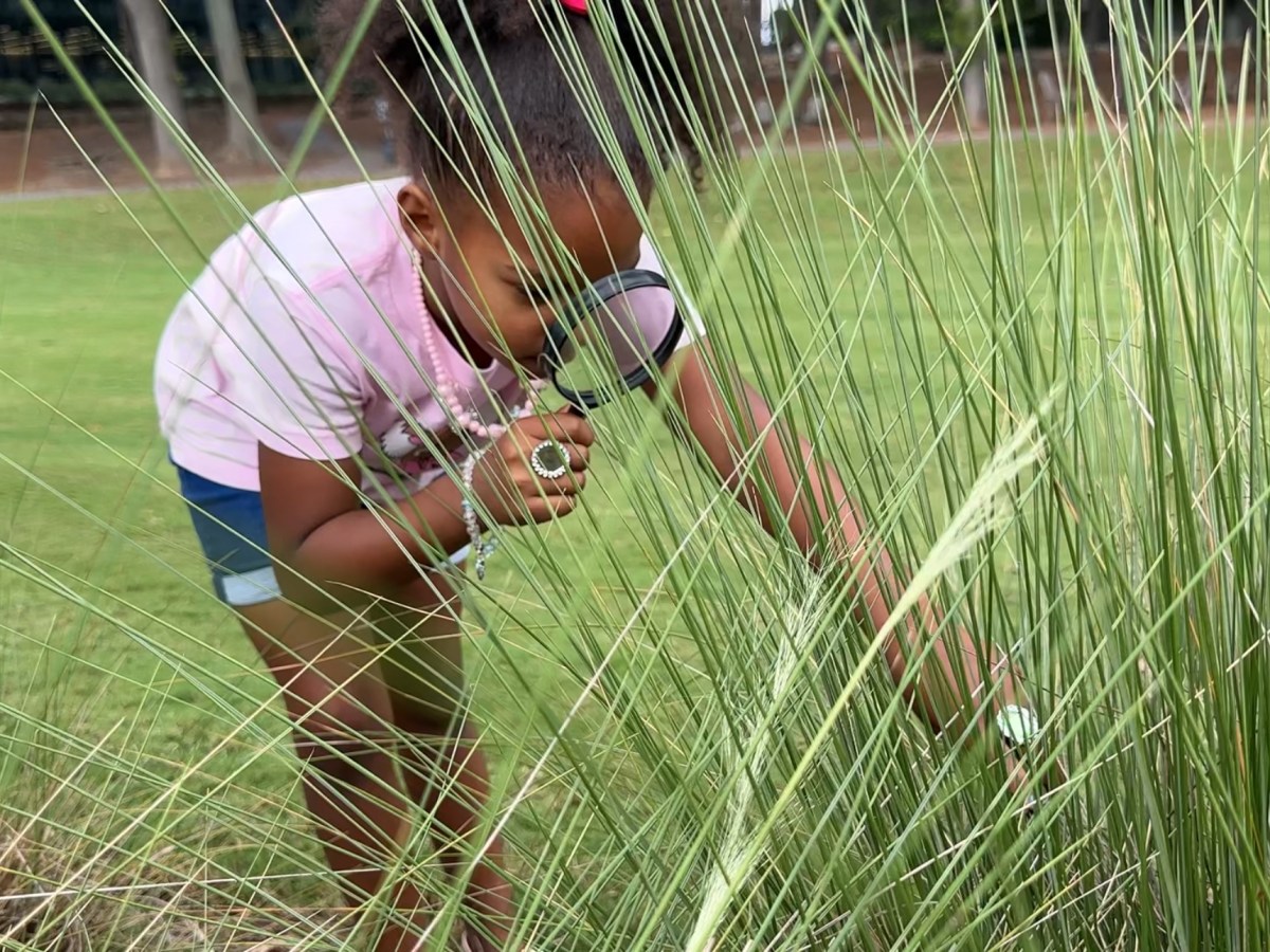Curious Minds, Big&nbsp;Discoveries!